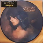 Osbourne Ozzy - No More Tears Picture LP – Zbozi.Blesk.cz