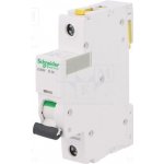 Schneider Electric A9F03102 – Zbozi.Blesk.cz