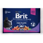 Brit Premium Cat Delicate Fillets in Gravy Cod fish Salmon and Trout 4 x 100 g – Sleviste.cz