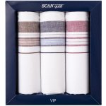 SCANquilt pánské kapesníky VIP 3 ks G108 – Sleviste.cz