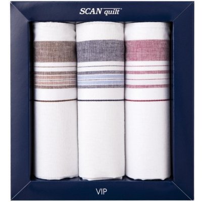 SCANquilt pánské kapesníky VIP 3 ks G108 – Sleviste.cz