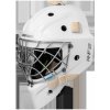 Hokejová helma Warrior Ritual F2 E+ jr