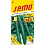 Vista salátová okurka – Zboží Dáma