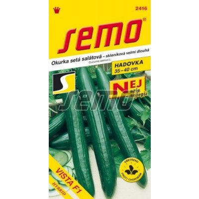 Vista salátová okurka – Zboží Dáma