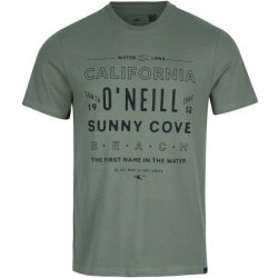 O'Neill MUIR T-SHIRT Zelená