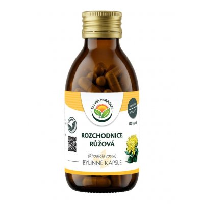 Salvia paradise Rozchodnice růžová rhodiola rosea 120 kapslí – Hledejceny.cz