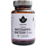 Puhdistamo Strong Lactic Acid Bacteria 60 kapslí – Hledejceny.cz