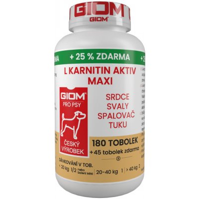 GIOM ERA L-karnitin Aktiv Maxi 60 tbl – Zbozi.Blesk.cz