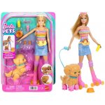 Mattel Barbie a pejsek na kolečkových bruslích JMJ44 – Hledejceny.cz