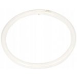 Philips kruhová Master TL-E Circular Super 80 40W/840 T9 G10q neutrální bílá – Zboží Dáma