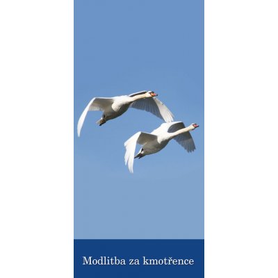 Paulínky Záložka – Modlitba za kmotřence (Z 135) – Hledejceny.cz