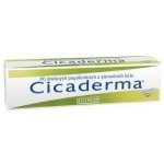 CICADERMA DRM UNG 30G – Hledejceny.cz
