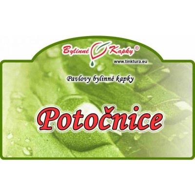 Bylinné kapky Potočnice tinktura 50 ml – Hledejceny.cz