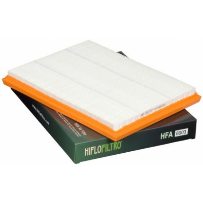 Vzduchový filtr HIFLOFILTRO HFA6003 – Hledejceny.cz