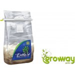 ExHale CO2 Bag, přírodní generátor CO2 – Hledejceny.cz