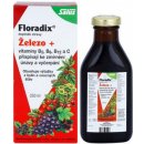 Doplněk stravy Salus Floradix železo+ 250 ml