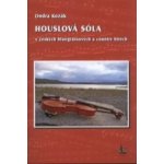 Houslová sóla v českých bluegrassových a country hitech + DVD – Hledejceny.cz