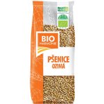 Bioharmonie Pšenice ozimá 1Kg – Zboží Dáma