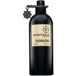 Montale Oudmazing parfémovaná voda unisex 100 ml – Hledejceny.cz