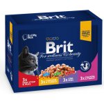 Brit Premium Cat Family 12 x 100 g – Hledejceny.cz