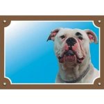 Dafiko Tabulka americký buldok – Sleviste.cz