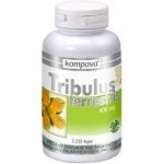 Tribulus terrestris 400 mg 120 kapslí – Hledejceny.cz