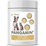Dromy Pangamin® Hmotnost: MINI 1000 tablet – Hledejceny.cz