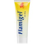 Flamigel Flamigel gel urychlující hojení 50 g – Hledejceny.cz