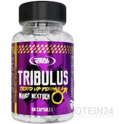 Real Pharm Tribulus Testo UP 60 kapslí – Hledejceny.cz