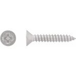 Vrut do plechu se zápustnou hlavou PH2 plný závit ocel A2 4,2 x 25 mm, 12 ks – Hledejceny.cz