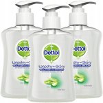 Dettol Moisture antibakteriální mýdlo s Aloe Vera dávkovač 250 ml – Zboží Dáma