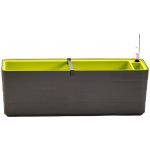 Plastia Berberis samozavlažovací truhlík 60 x 19,5 cm antracit/ zelený – Hledejceny.cz