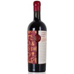 Masseria Doppio Passo Copertino Rosso Riserva DOC 14% 0,75 l (holá láhev) – Hledejceny.cz