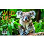 Mláďata Wild life stolní 23 x 14 cm 2026 – Hledejceny.cz