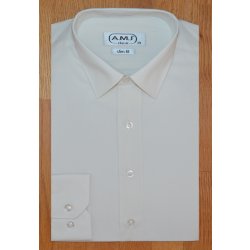 AMJ pánská košile dlouhý rukáv slim fit JDS016