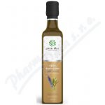 Green idea Yzop třtinový sirup 250 ml – Hledejceny.cz