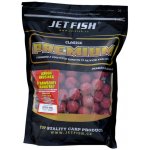 Jet Fish Premium Classic Boilies 700 g 20 mm Švestka Česnek – Hledejceny.cz