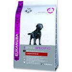 Eukanuba Labrador Retriever 2,5 kg – Hledejceny.cz