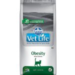 Vet Life Cat OBESITY 10 kg – Zbozi.Blesk.cz