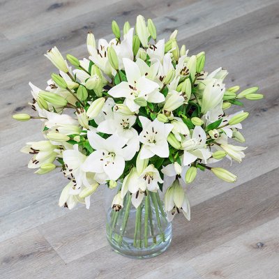 Rozvoz květin: Bilé čerstvé lilie - cena za 1ks - Rakovník – Zboží Mobilmania