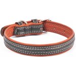 CoLLaR Kožený obojek – Sleviste.cz