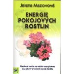 Energie pokojových rostlin – Hledejceny.cz