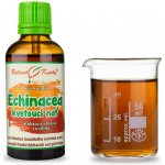 Bylinné kapky ECHINACEA KVETOUCÍ NAŤ KAPKY tinktura 50 ml – Hledejceny.cz