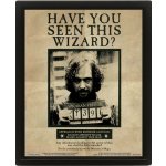 Proměňovací 3D obrázek Harry Potter v rámečku: Harry & Sirius - 3D plakát (25,4 x 20 cm) – Hledejceny.cz