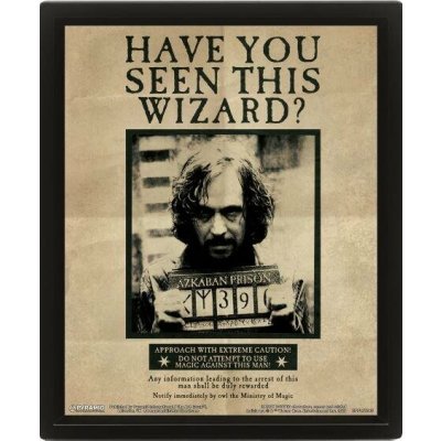 Proměňovací 3D obrázek Harry Potter v rámečku: Harry & Sirius - 3D plakát (25,4 x 20 cm) – Hledejceny.cz