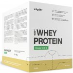 Vilgain Whey Protein 1000 g – Zboží Dáma