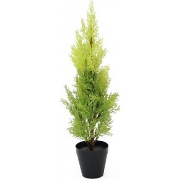 82606959 - Europalms Cypřiš světlý v květináči, 60 cm - 0