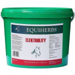 Equiherbs Elektrolyty pro koně granulát 2000 g – Hledejceny.cz