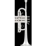 Arnolds & Sons ATR-4600GS Terra – Zboží Dáma