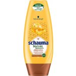 Schauma Nature Moments pro regeneraci a sílu balzám na vlasy Medový elixír a olej z opuncie mexické 200 ml – Zboží Mobilmania